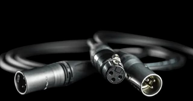 XLR Cable